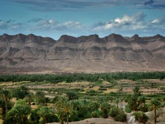 Le più belle oasi nel deserto