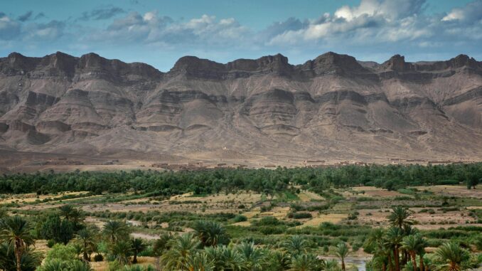 Le più belle oasi nel deserto
